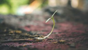 Diversifikation Emerging-Markets-ESG