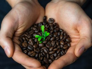 Fairtrade Bonds: Wirkung & Rendite