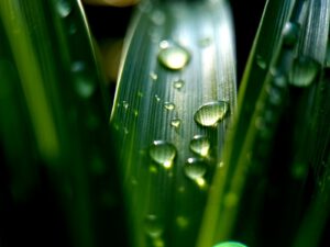 Greenwashing-Checkliste