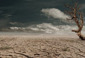 Climate-Action-Plan