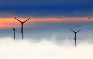 Ecolabel vs. SFDR