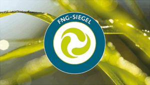 Audit-Prozess FNG